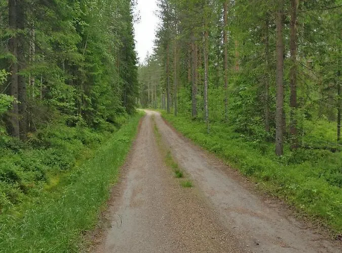 Laehderinne - 2 Bedroom Log Cabin, Private Beach, Wifi & Sauna * Puolanka